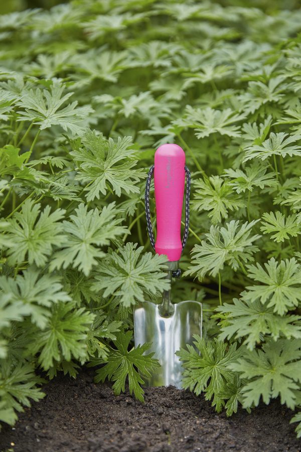 Zpoistunut Poistuva tuote! Pinkki Istutuslapio, Burgon & Ball - Image 3
