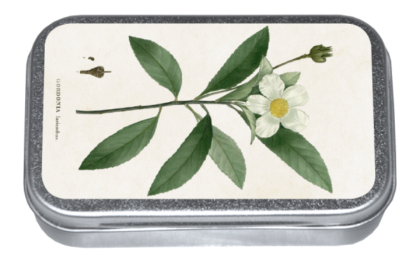 Zpoistunut Gardenia - karamellit peltirasiassa, Sk?na Ting