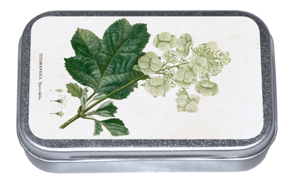 Zpoistunut Hortensia - karamellit peltirasiassa, Sk?na Ting