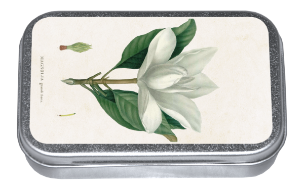 Zpoistunut Magnolia - karamellit peltirasiassa, Sk?na Ting