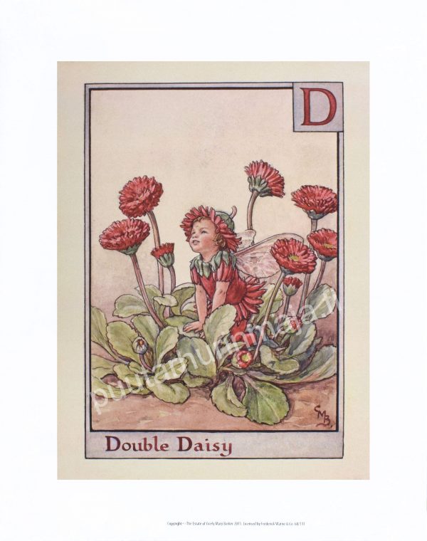 Zpoistunut Flower Fairies juliste - Double Daisy Fairy