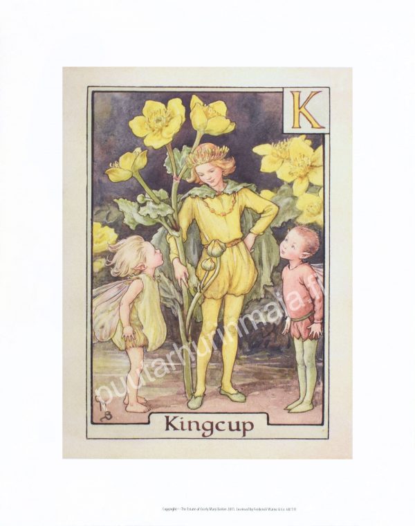 Zpoistunut Poistuva tuote! Flower Fairies juliste - Kingcup Fairy