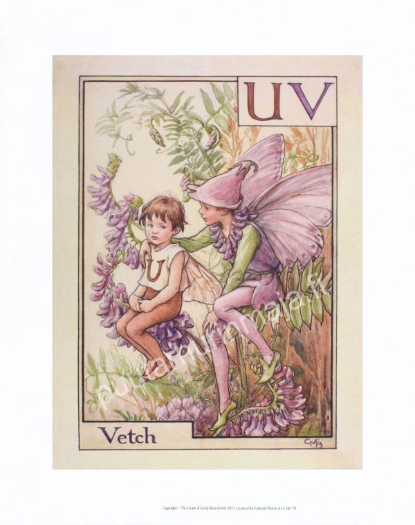Zpoistunut Poistuva tuote! Flower Fairies juliste - Vetch Fairy