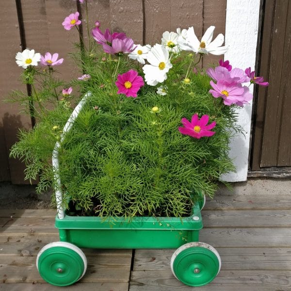 Paketin uudelleenlähetys