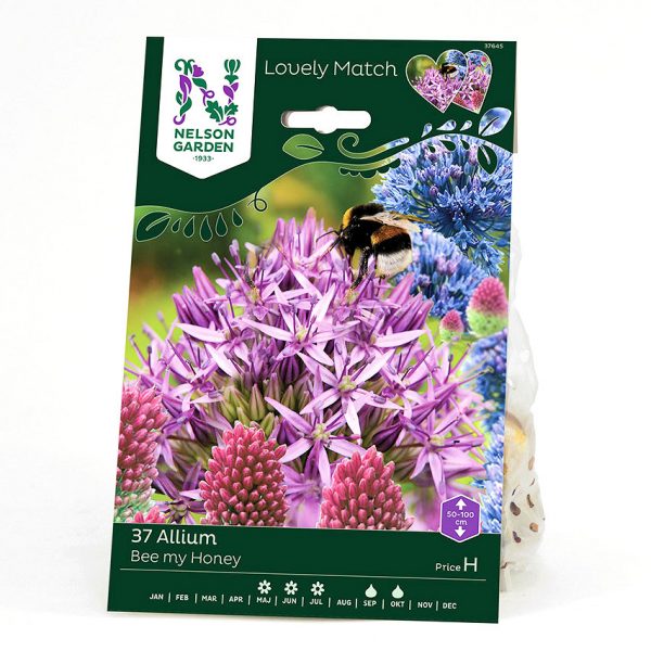 Zpoistunut Bee My Honey Lovely Match-sipulilajitelma, Nelson Garden