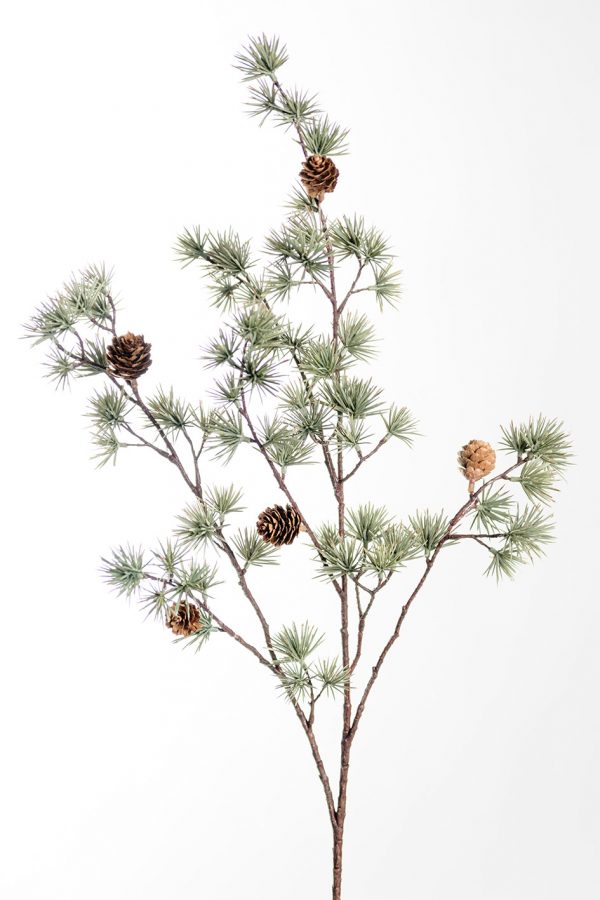Zpoistunut Lehtikuusen oksa tekokasvi, Mr Plant