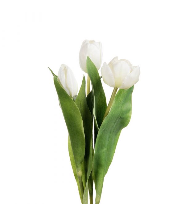 Zpoistunut Tulppaani valkoinen tekokukka, Mr Plant