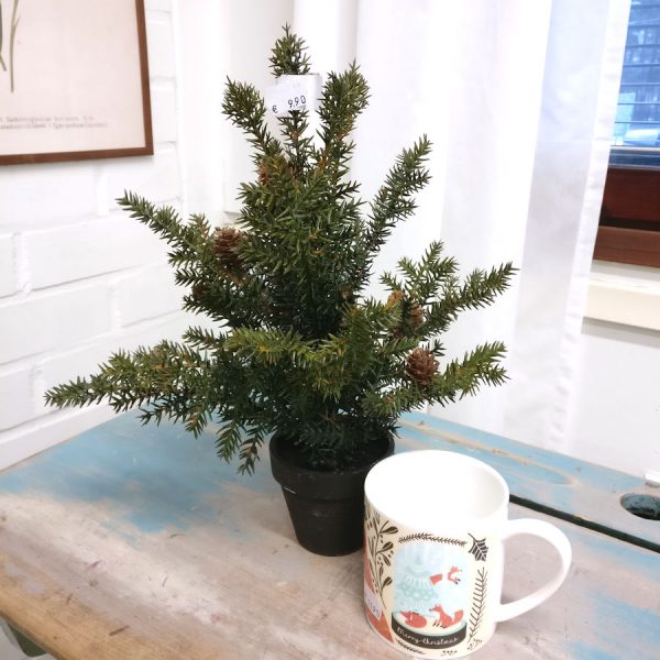 Zpoistunut Pieni havupuu k?vyill?, Mr Plant - Image 3