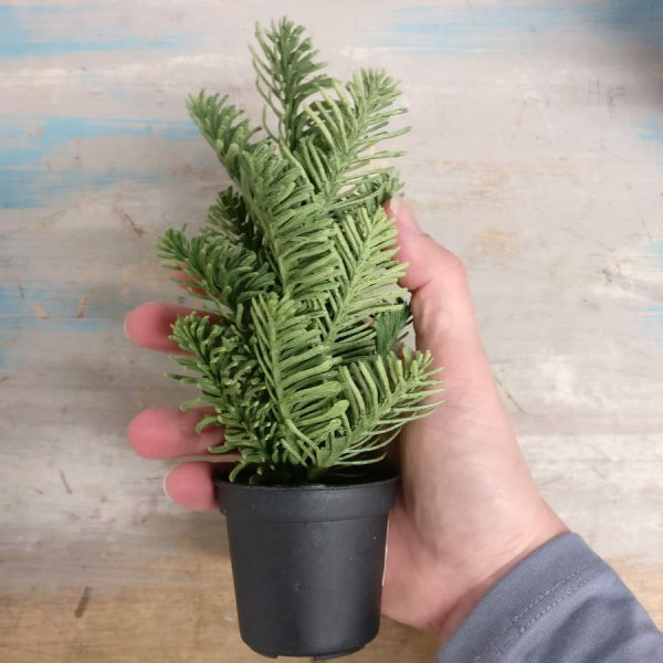 Zpoistunut Minihavu, Mr Plant - Image 2