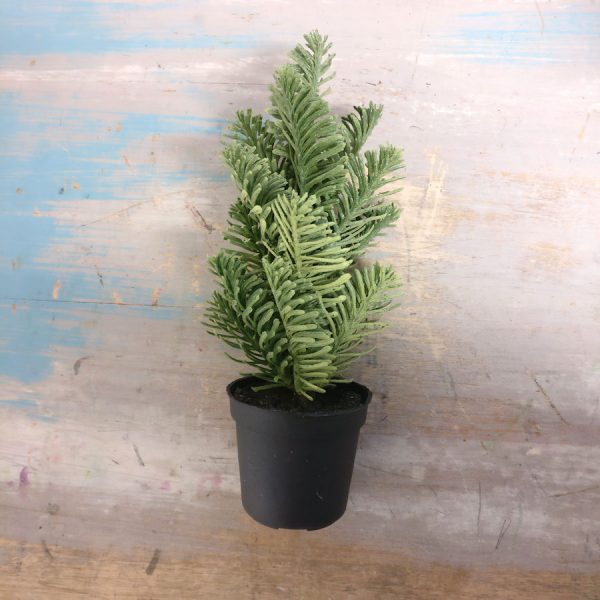 Zpoistunut Minihavu, Mr Plant