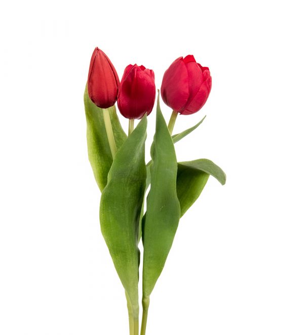Zpoistunut Tulppaani punainen tekokukka, Mr Plant