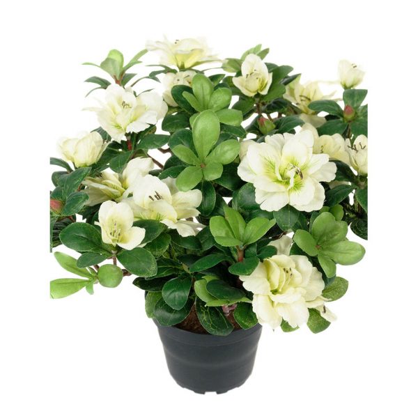 Zpoistunut Atsalea valkoinen tekokukka, Mr Plant