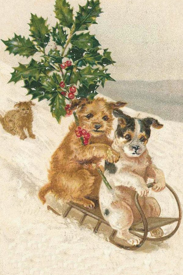 Zpoistunut Joulukortti Koirat kelkkam?ess? 10 x 15 cm, Sk?na Ting