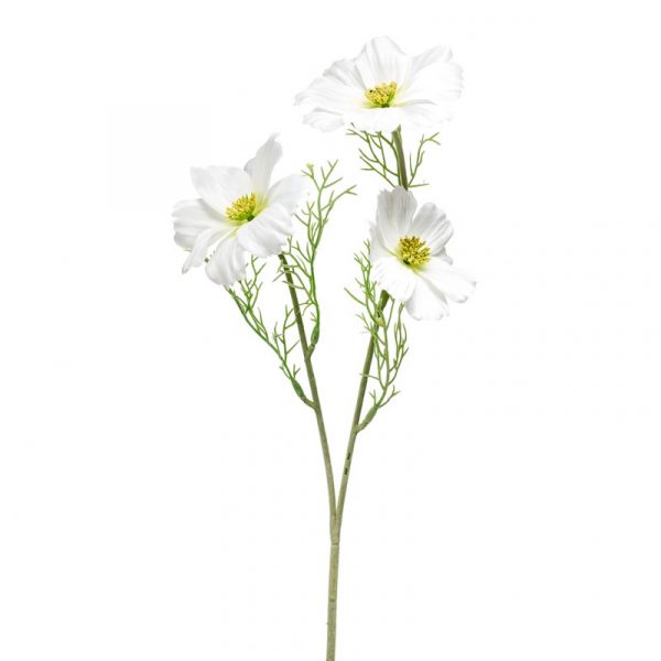 Zpoistunut Kosmoskukka valkoinen 65 cm