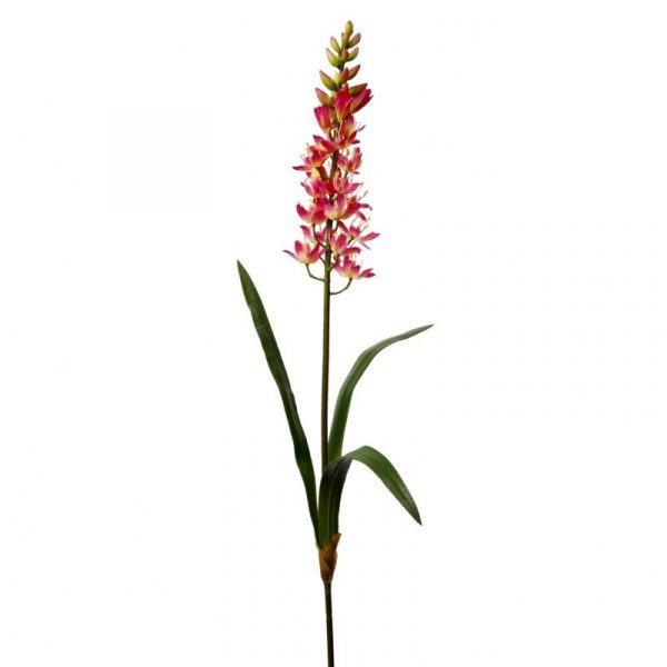 Zpoistunut Marskinlilja fuksia 63 cm