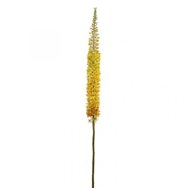 Zpoistunut Poistuva tuote! Marskinlilja keltainen 143 cm