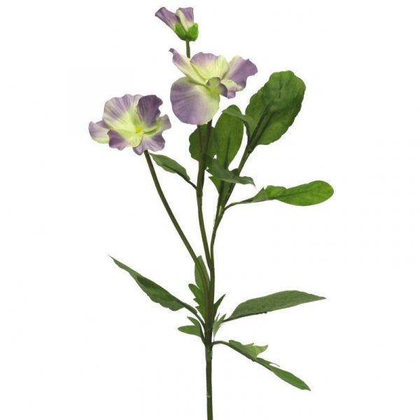 Zpoistunut TARJOUS ER?! Orvokki vaaleanvioletti 36 cm