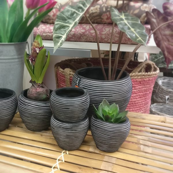 Zpoistunut Ruukku Rib Musta XXS 7 x 7 cm, Capi Europe
