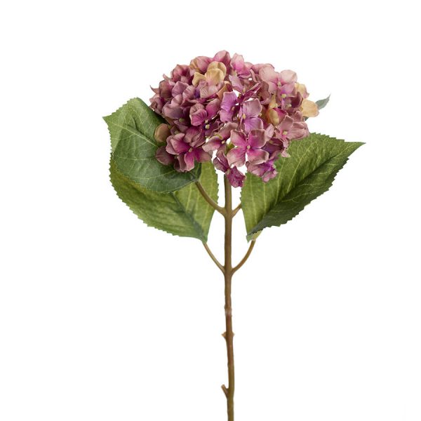 Zpoistunut Hortensia oksa tekokukka, Mr Plant