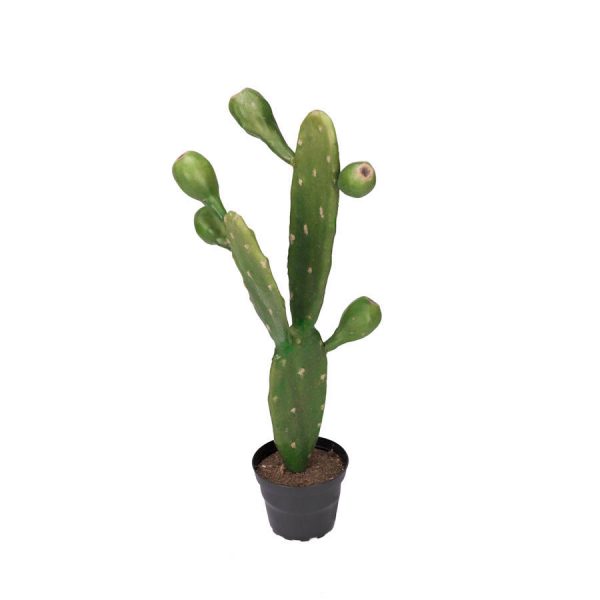Zpoistunut Poistuva tuote! Iso kaktus tekokasvi, Mr Plant