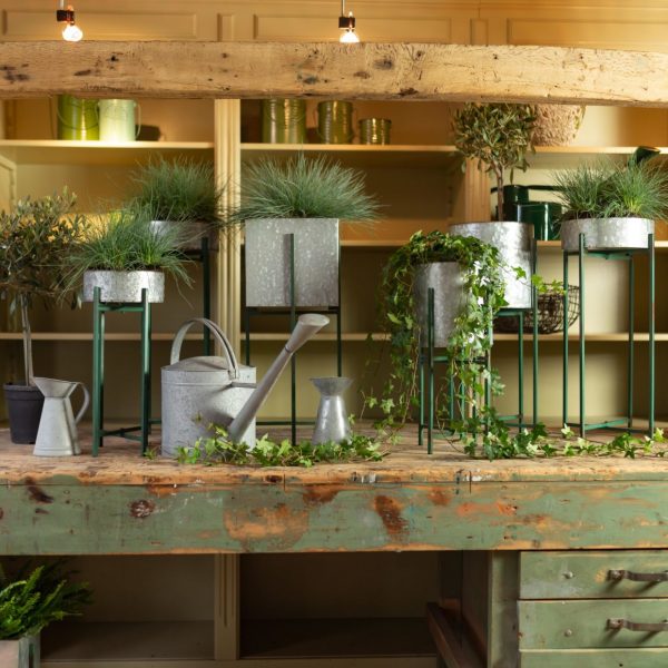 Zpoistunut Pieni sinkkikannu, Esschert Design - Image 3