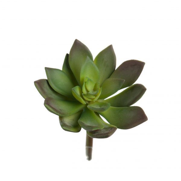 Zpoistunut Poistuva tuote! Echeveria mehikasvi tekokasvi, Mr Plant