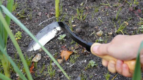Kitkemistyökalu - Japanese Razor Hoe, Burgon & Ball - Image 3