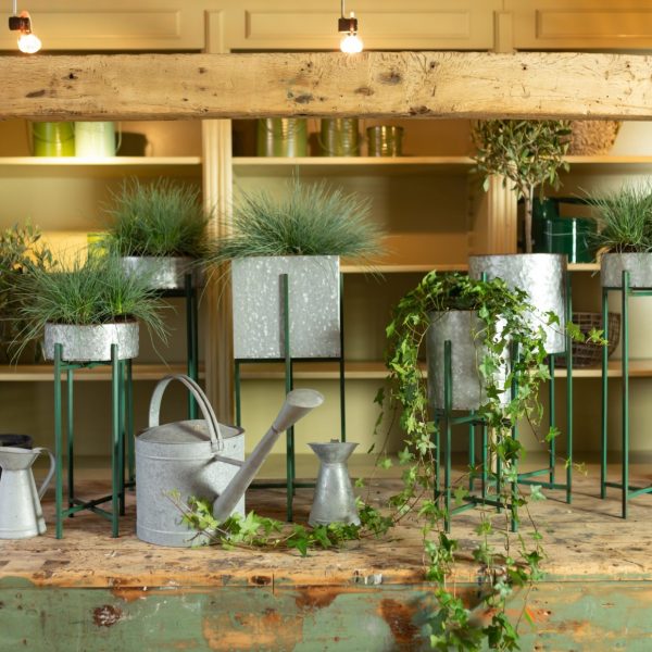 Zpoistunut Poistuva tuote! Sinkkiruukku jalustalla 2 kpl, Esschert Design - Image 2