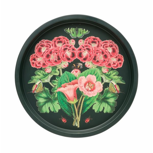 Zpoistunut Tarjotin Midnight Botanical Pelargoni, Madame Treacle