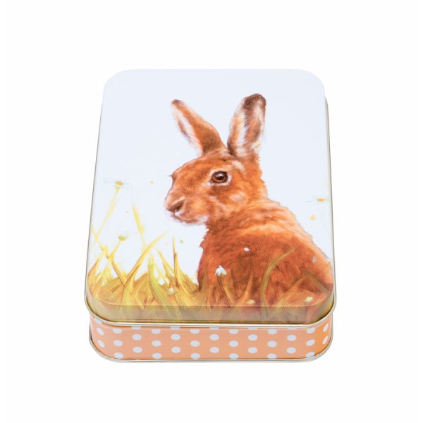Zpoistunut Poistuva tuote! Peltirasia J?nis - Countryside Friends Hare