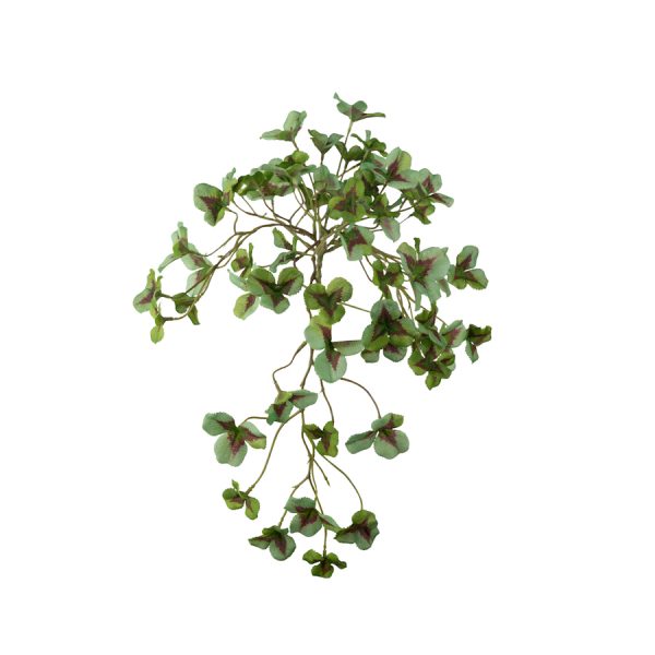Zpoistunut Poistuva tuote! K?enkaali Oxalis tekokasvi, Mr Plant