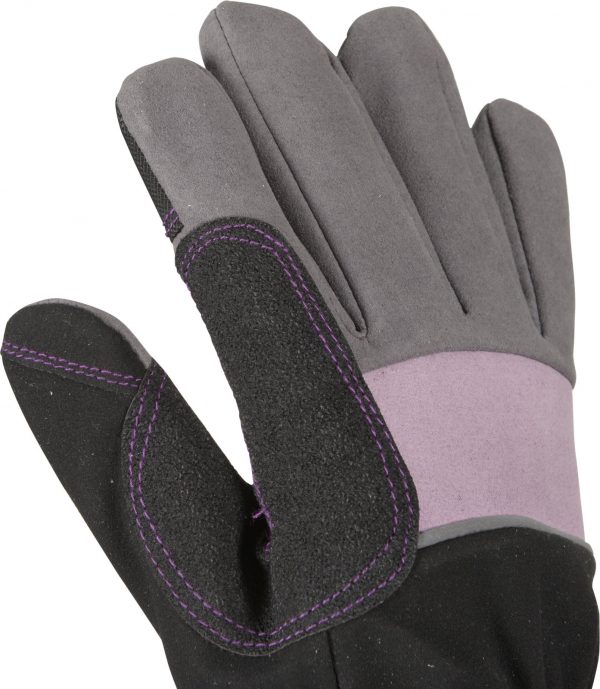 Zpoistunut Puutarhahanskat / ruusuhanskat pitk?ll? varrella violetti, koko S (7) - Image 7