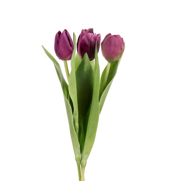 Zpoistunut Tulppaani tummanvioletti tekokukka, Mr Plant