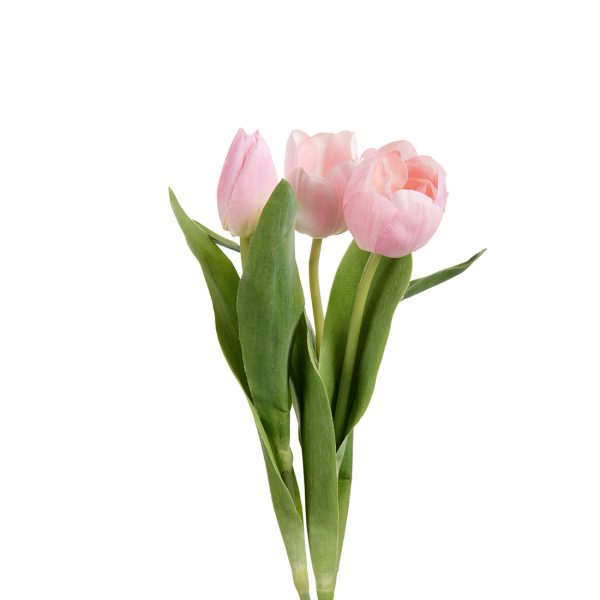 Zpoistunut Tulppaani vaaleanpunainen tekokukka, Mr Plant