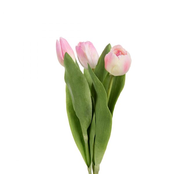 Zpoistunut Tulppaani vaaleanpuna-valkoinen tekokukka, Mr Plant