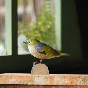 puinen hopearilli koristelintu, wildlife garden