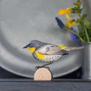 puinen keltapääkerttuli koristelintu, wildlife garden