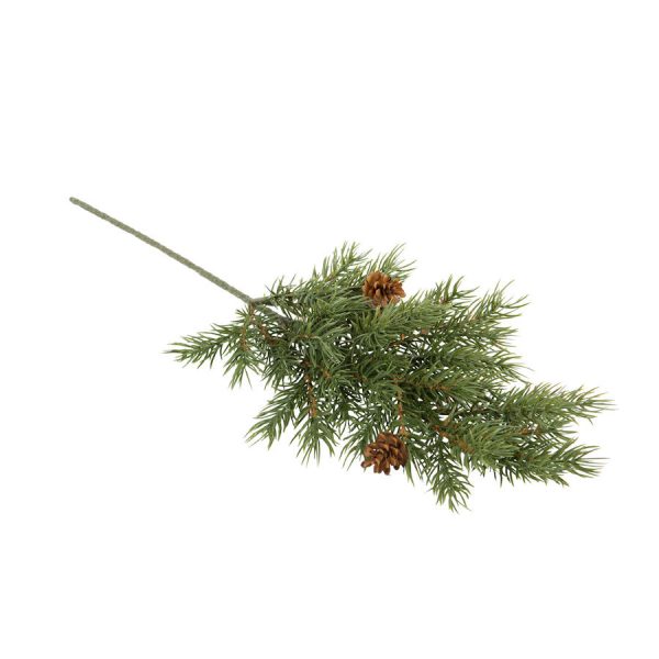 kuusen oksa kävyillä