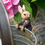 Ruukkukaveri Benjamin Rabbit pupu, Jardinopia on lisätty toivelistallesi