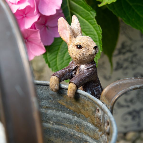 Ruukkukaveri Benjamin Rabbit pupu, Jardinopia
