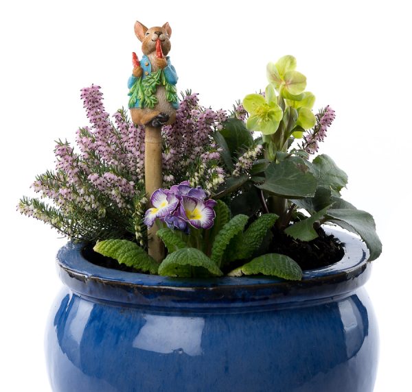 Kukkakepin kaveri Petteri Kaniini, jardinopia - Image 2