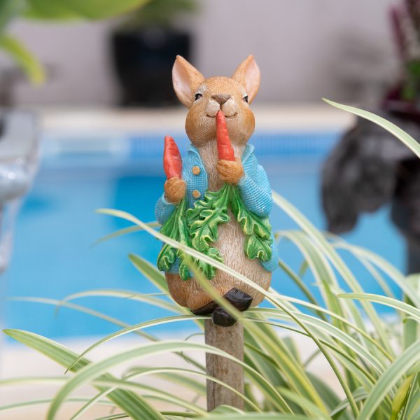 Kukkakepin kaveri Petteri Kaniini, jardinopia