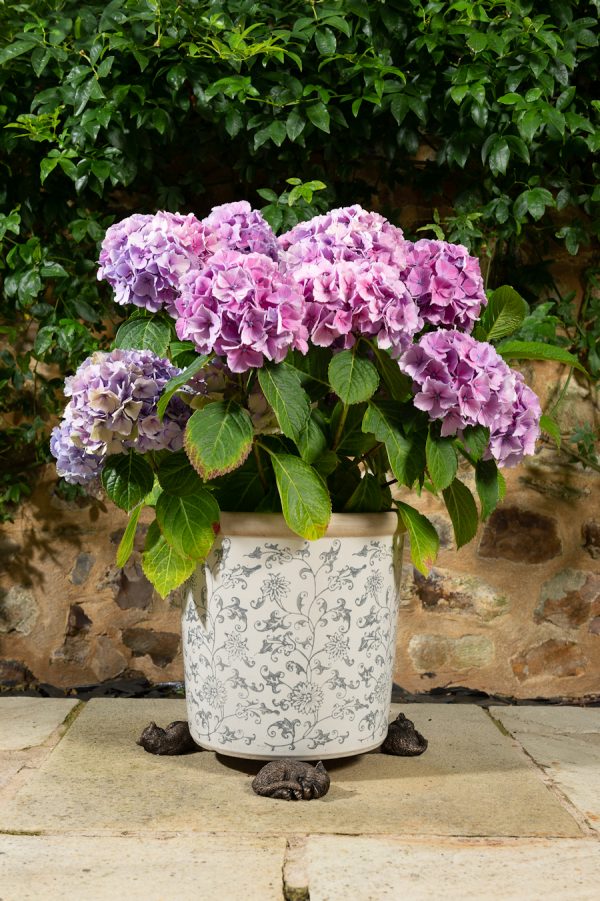 Ruukkutassut Kerällä nukkuva kissa 3 kpl setti, Jardinopia - Image 3