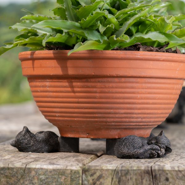 Ruukkutassut Kerällä nukkuva kissa 3 kpl setti, Jardinopia - Image 2