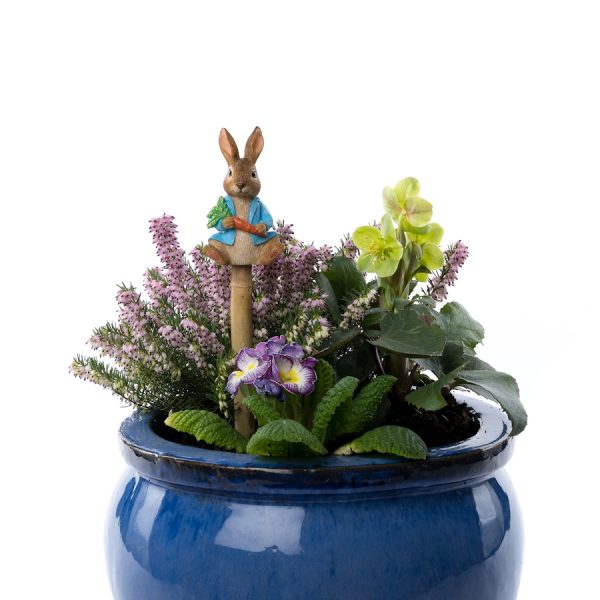 Kukkakepin kaveri Petteri Kaniini Istuu, Jardinopia - Image 4