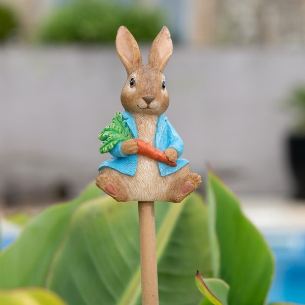 Kukkakepin kaveri Petteri Kaniini Istuu, Jardinopia
