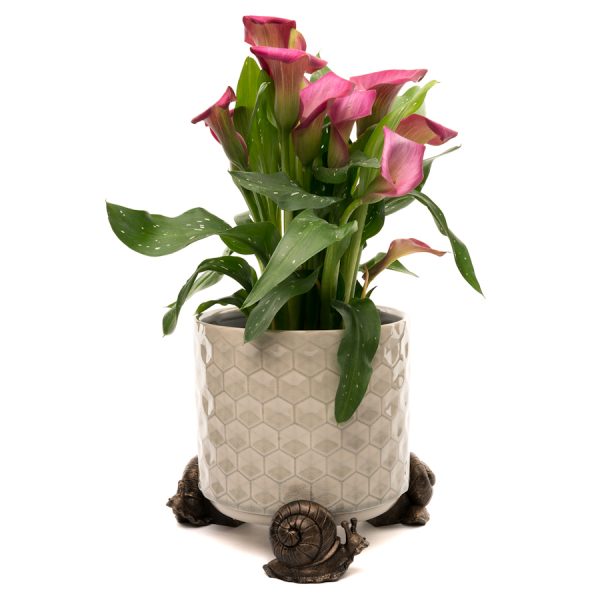 Ruukkutassut Etana 3 kpl setti, Jardinopia - Image 2