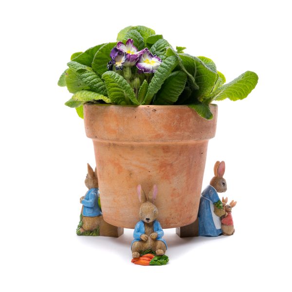 Ruukkutassut Beatrix Potter Set 5: Petteri Kaniini ja kastelukannu, Jardinopia - Image 5