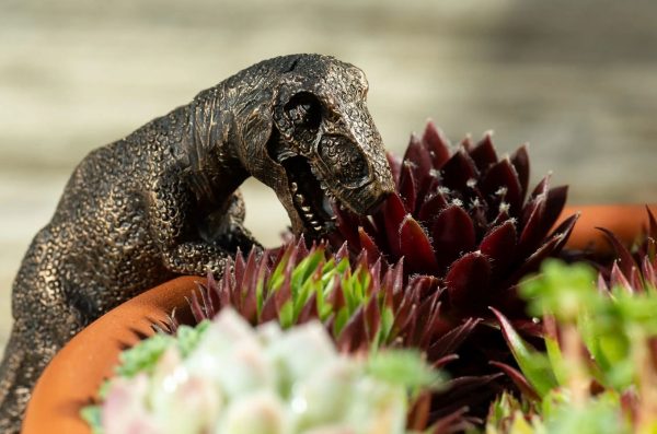 Ruukkukaveri Dinosaurus Tyrannosaurus Rex, Jardinopia - Image 9