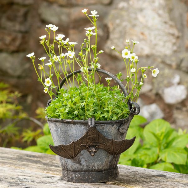 Ruukkukaveri Lepakko siivet avoinna, Jardinopia - Image 7